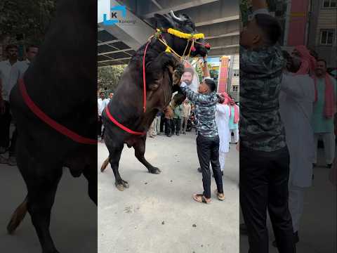 Laddu Yadav Sadar 2025 #ladduyadav sadar | #khairatabadsadar sadar #sadarfestival 2025