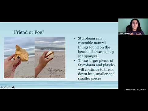 Conservation Conversations: Friday, April 24, 2020. Topic: Marine Debris