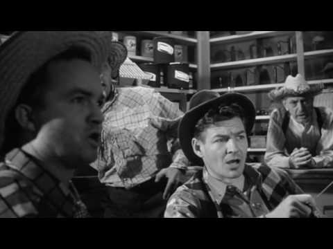 A Trump Face in the Crowd