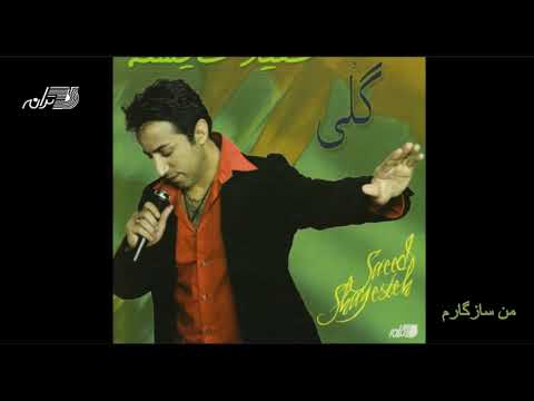 Saeed Shayesteh - Man Sazegaram / سعید شایسته ـ من سازگارم
