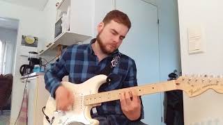 Screeching weasel- Every night  (guitar cover)