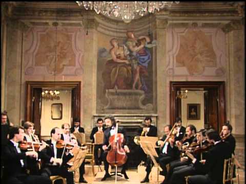 Mischa Maisky - Haydn Cello Concerto No.1 in C Major - I. Moderato (HD)