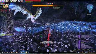 허크 레지나(눈물의 화원) 솔플