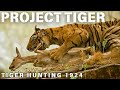 Project Tiger The Return Of The King National Geographic Hindi Wildlife Documentary
