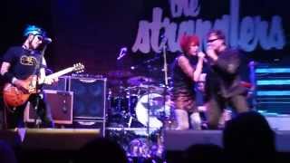 Rezillos - "Nearly Human"