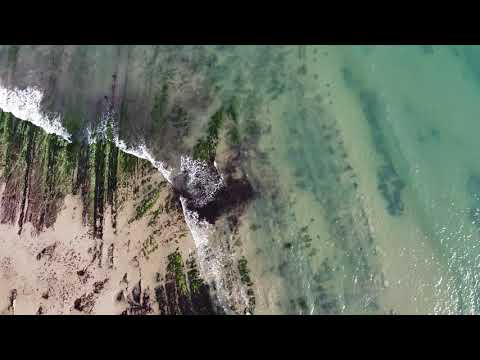 Santa Barbara Shoreline Park I - Feb 2020