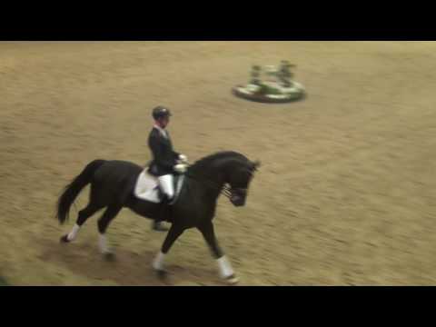 CADEAU NOIR - Hengstschau Münster-Handorf 11-03-2017