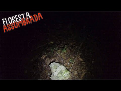 EU FUI SOZINHO NA LENDA DA FLORESTA ASSOMBRADA