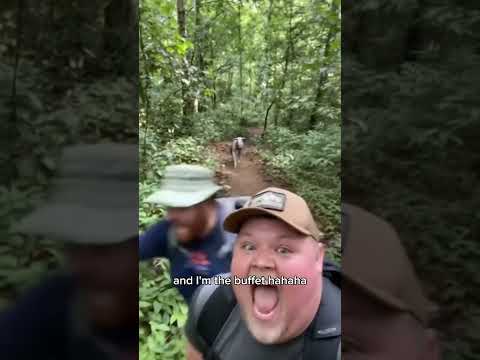 Chiupacabra encounter in Brazil forest 😱 #scary #funny #monster