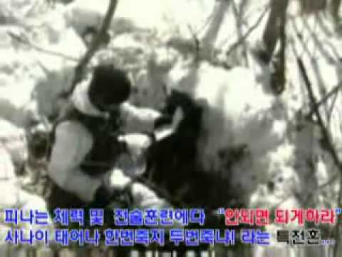 dac cong nam trieu tien