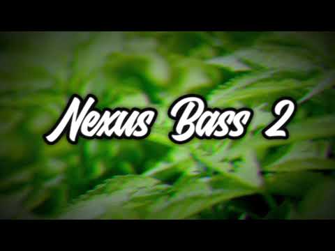 Bobby NICE! - 230 (Bass Boosted)