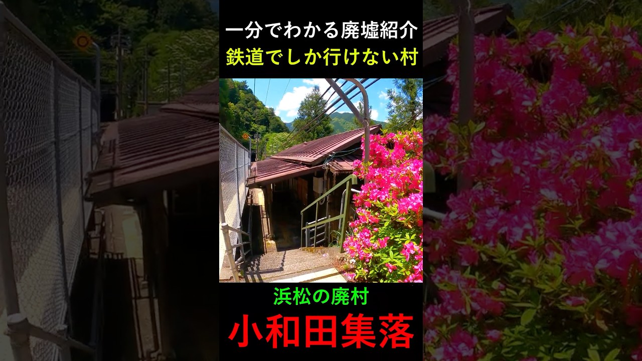 【1分で分かる廃墟紹介】浜松市天竜区の廃村「小和田集落」の見どころ #廃墟探索 #静岡 #秘境駅  #浜松