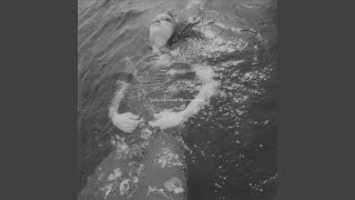 Alfonsina y El Mar