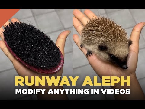 Runway Aleph - Modify Anything In Videos - 20 Creative Use Cases