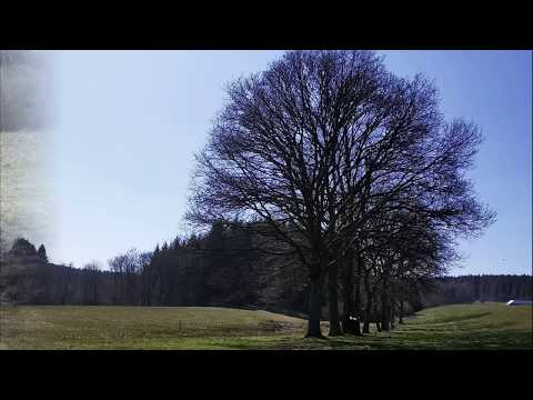 Eifelsteig Tour Daun - Gerolstein