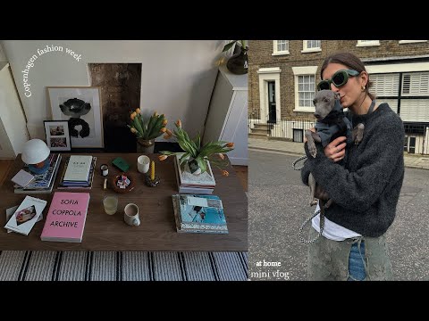 二月 ⋆。‧ʚ? (february ⋆。‧˚ʚ?ɞ˚‧。⋆)