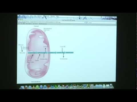 #32 BB 350 Fatty Acid Oxidation and Synthesis - Kevin Ahern's Biochemistry Online