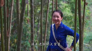 เก็บหน่อไม้ วิถีบ้านๆชาวไทลื้อ สิบสองปันนา 傣家人 西双版纳 Tailue Yunnan Xishuangbanna Life Diary