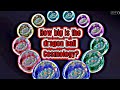 How Big Is The Dragon Ball Cosmology