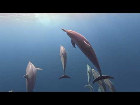 Sass Mauritius Tour - June 2024 - Paddling Day 5