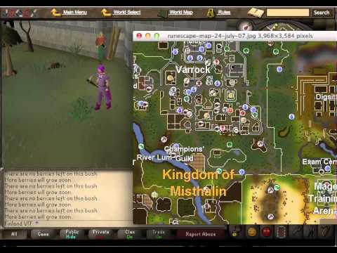 Runescape 2007 Redberry Guide