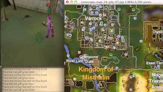 Runescape 2007 RedBerry Guide