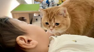 Cat secretly peeks at sleeping toddler's face, next moment does something so cute you'll melt thumbnail