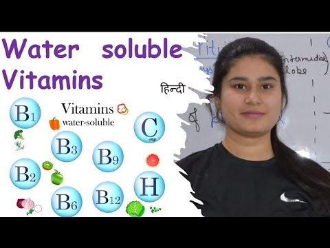Water Soluble Vitamins | Sources | Functions | Deficiency | Vitamin B Group | Vitamin C