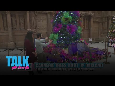 Boaz is talking trees - YouTube