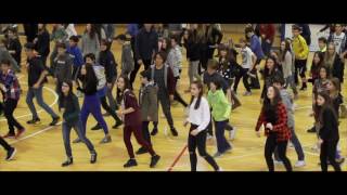 Mannequin Challenge e Flash Mob con la scuola media al completo