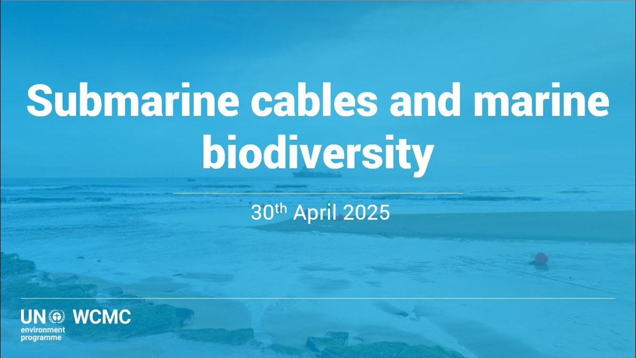 Webinar: Submarine cables and marine biodiversity - Report Launch & Panel Discussion (30 April 2025)