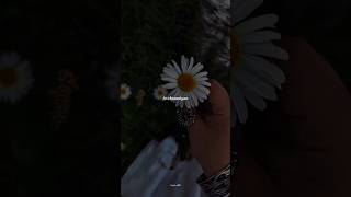 Download lagu A Thousand Years - Christina Perri | lyrics | aesthetic | whatsapp Status | English songs | slowed.. mp3 Download lagu A Thousand Years - Christina Perri | lyrics | aesthetic | whatsapp Status | English songs | slowed.. mp3