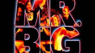 Mr. Big - Anything For You