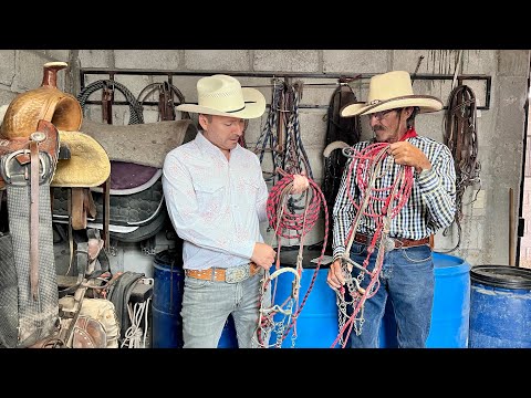 HORSE BRAKES: How to choose the best one #MartinLoza #parientesdelrancho