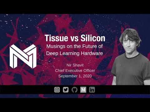 Tissue vs. Silicon: The Future of Deep Learning Hardware