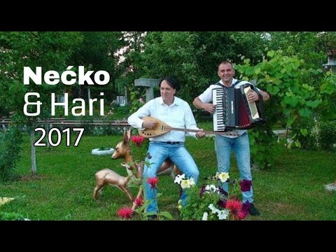 Nećko i Hari - Kupiću ti pile | 2017