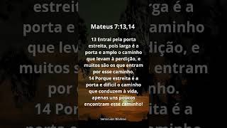 Mateus Capítulo 7 Versículos 13 e 14 #VersículosBiblícos #verciculododia #meteus #mateus7