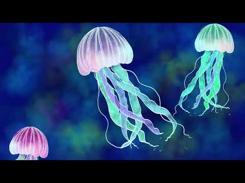 造形デザイン学科 オノマトペアニメーション「ゆらゆら」／onomatopoeia animation