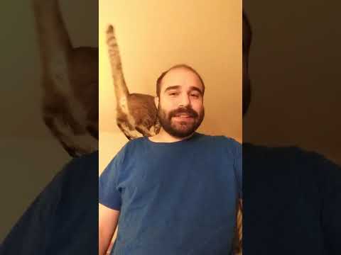 Caught my cat jumping up to my shoulder!!! 😻
