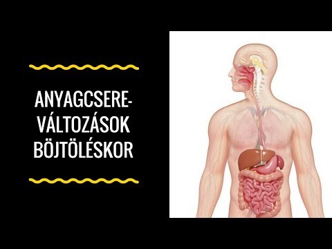 gyógytea zsírvesztés DNS fogyás