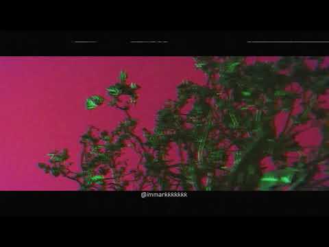 tobi lou x Smino Type Beat - Better(Prod. immark) - Chill Hip Hop Instrumental 2020