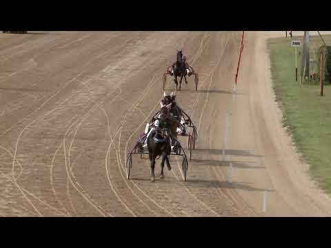 2020.10.03. 02. futam - ÁRVERÉSI LOVAK VERSENYE