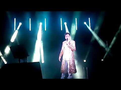 Elvin Grey 3D show-Девочка моя,Елама,ярсыма