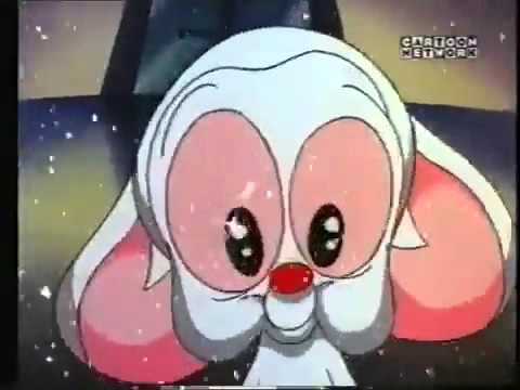 Pinky and the Brain Christmas Intro in Swedish (High Quality!)