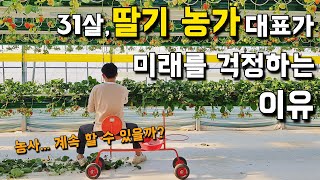 4억 시설 갖춘 딸기 농가, 무엇이 걱정일까? 딸기 농부의 하루 [딸기농사] 2부
