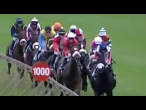 KRA FILLIES GUINEAS (Grade 2) 2013