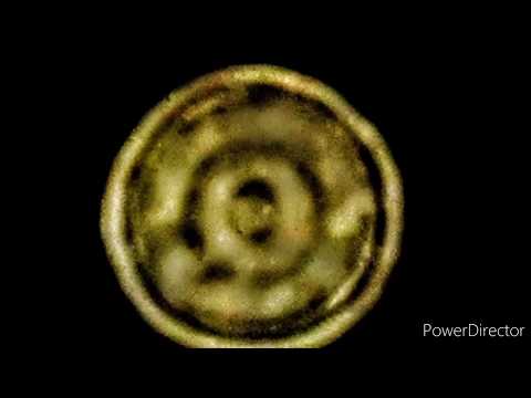 Venus and the Pleiades