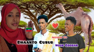 Download lagu NUUR GOOSAR' DHAANTO CUSUB SHUGRI CADBI AHMED IRDAA NEW VIDEO 2026 mp3 Download lagu NUUR GOOSAR' DHAANTO CUSUB SHUGRI CADBI AHMED IRDAA NEW VIDEO 2026 mp3