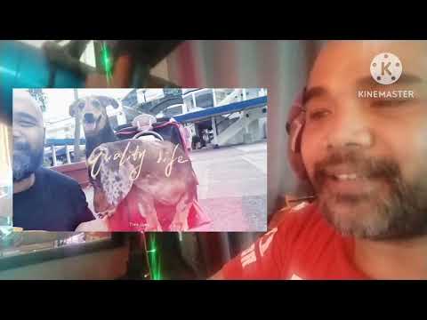 REACTION: "Bye Bye Bye" - Aesthetic Perfection ft. Nikki Misery @aestheticperfection6133