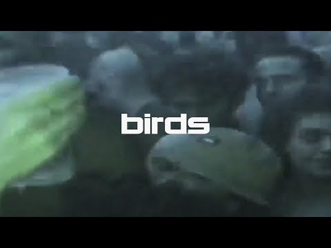 Skesa - Birds
